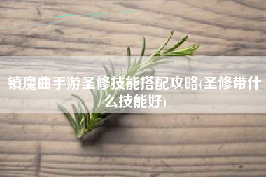 镇魔曲手游圣修技能搭配攻略(圣修带什么技能好)