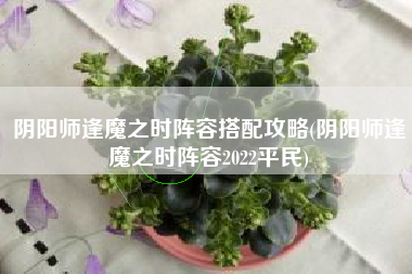 阴阳师逢魔之时阵容搭配攻略(阴阳师逢魔之时阵容2022平民)