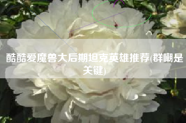 酷酷爱魔兽大后期坦克英雄推荐(群嘲是关键)