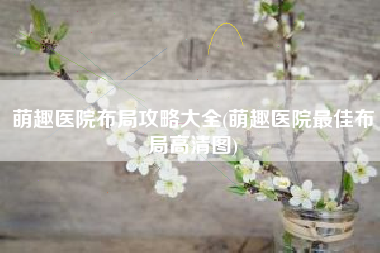 萌趣医院布局攻略大全(萌趣医院最佳布局高清图)
