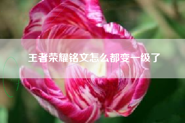 王者荣耀铭文怎么都变一级了