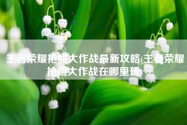 王者荣耀抢鲲大作战最新攻略(王者荣耀抢鲲大作战在哪里玩)