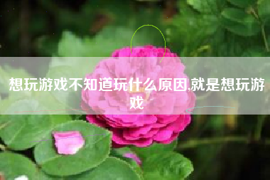 想玩游戏不知道玩什么原因,就是想玩游戏