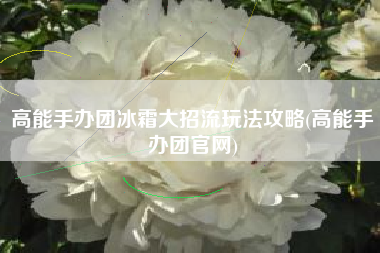 高能手办团冰霜大招流玩法攻略(高能手办团官网)