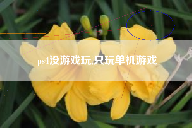 ps4没游戏玩,只玩单机游戏
