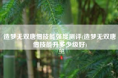 造梦无双唐僧技能强度测评(造梦无双唐僧技能升多少级好)