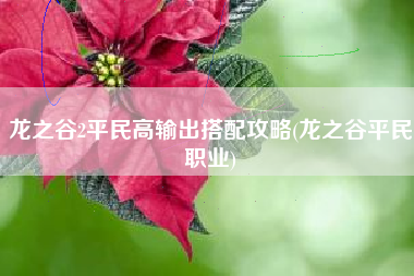 龙之谷2平民高输出搭配攻略(龙之谷平民职业)