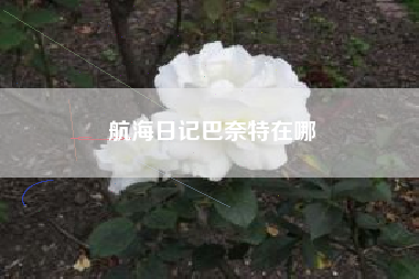 航海日记巴奈特在哪
