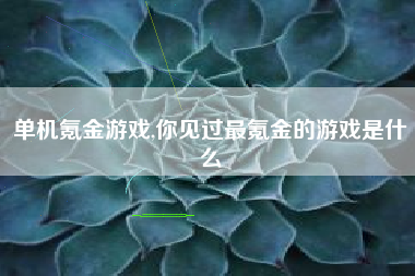 单机氪金游戏,你见过最氪金的游戏是什么