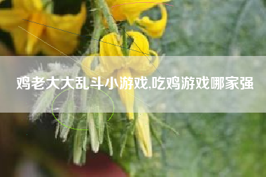 鸡老大大乱斗小游戏,吃鸡游戏哪家强