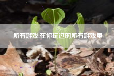 所有游戏,在你玩过的所有游戏里