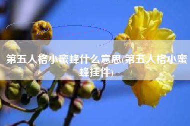 第五人格小蜜蜂什么意思(第五人格小蜜蜂挂件)