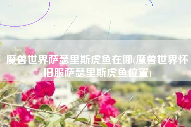 魔兽世界萨瑟里斯虎鱼在哪(魔兽世界怀旧服萨瑟里斯虎鱼位置)