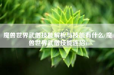 魔兽世界武僧技能解析与技能有什么(魔兽世界武僧技能连招)