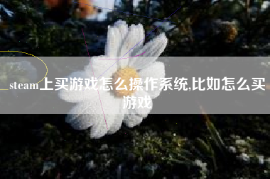 steam上买游戏怎么操作系统,比如怎么买游戏