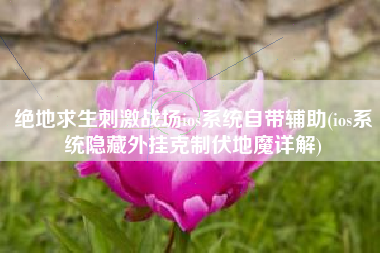 绝地求生刺激战场ios系统自带辅助(ios系统隐藏外挂克制伏地魔详解)