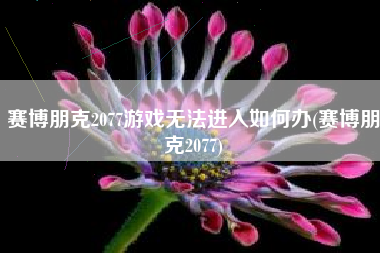赛博朋克2077游戏无法进入如何办(赛博朋克2077)