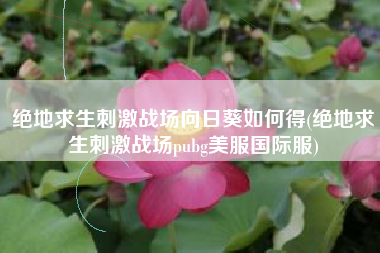 绝地求生刺激战场向日葵如何得(绝地求生刺激战场pubg美服国际服)