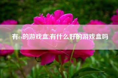 有cs的游戏盒,有什么好的游戏盒吗