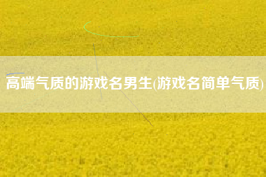 高端气质的游戏名男生(游戏名简单气质)