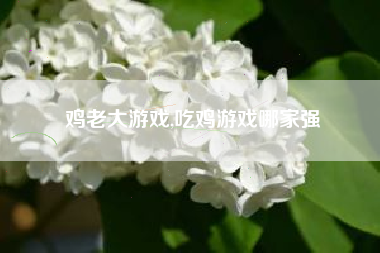 鸡老大游戏,吃鸡游戏哪家强