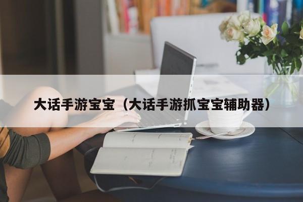 大话手游宝宝（大话手游抓宝宝辅助器）